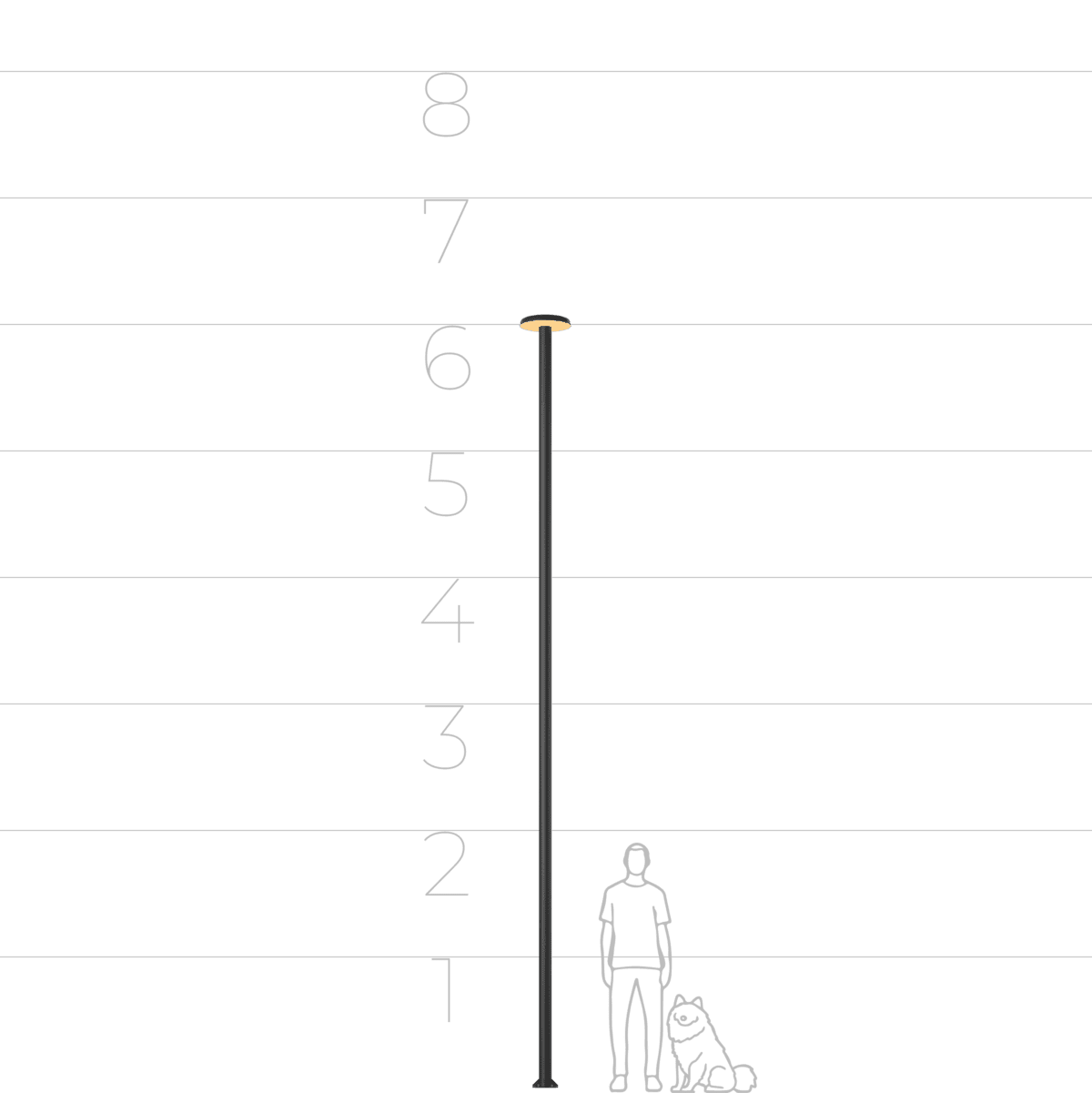 21003842 21003842