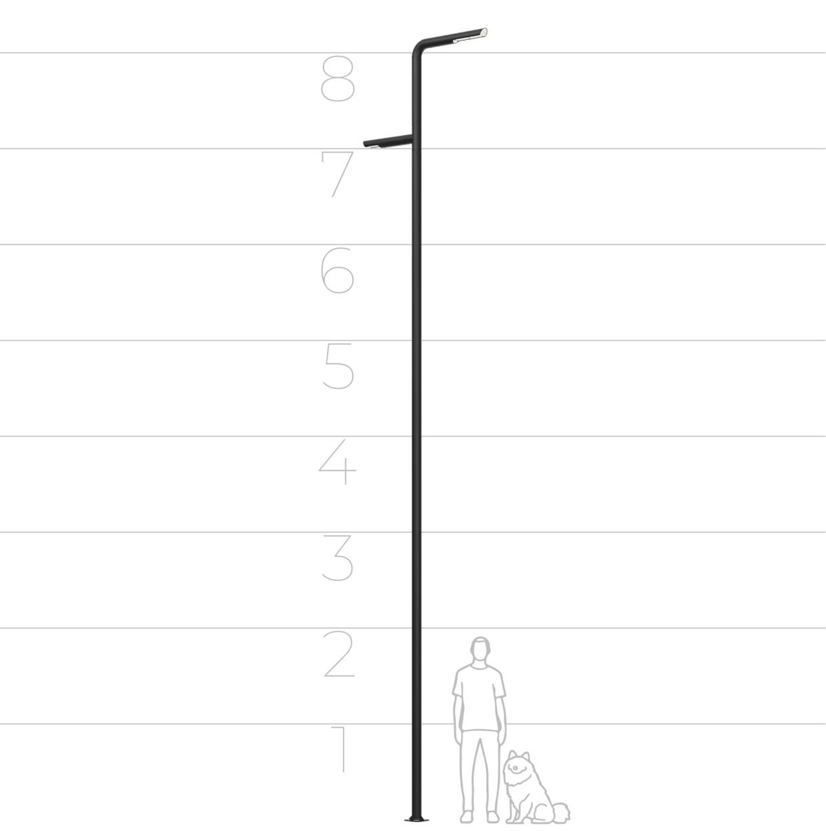 24256772 24256772