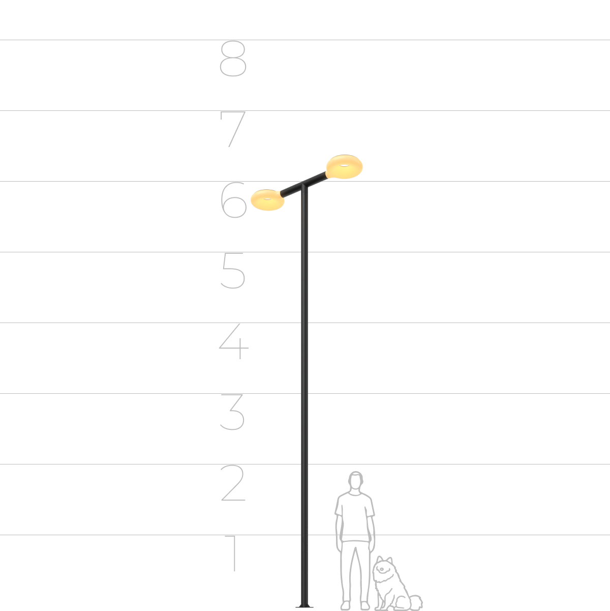 43818835 43818835
