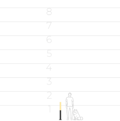45215767