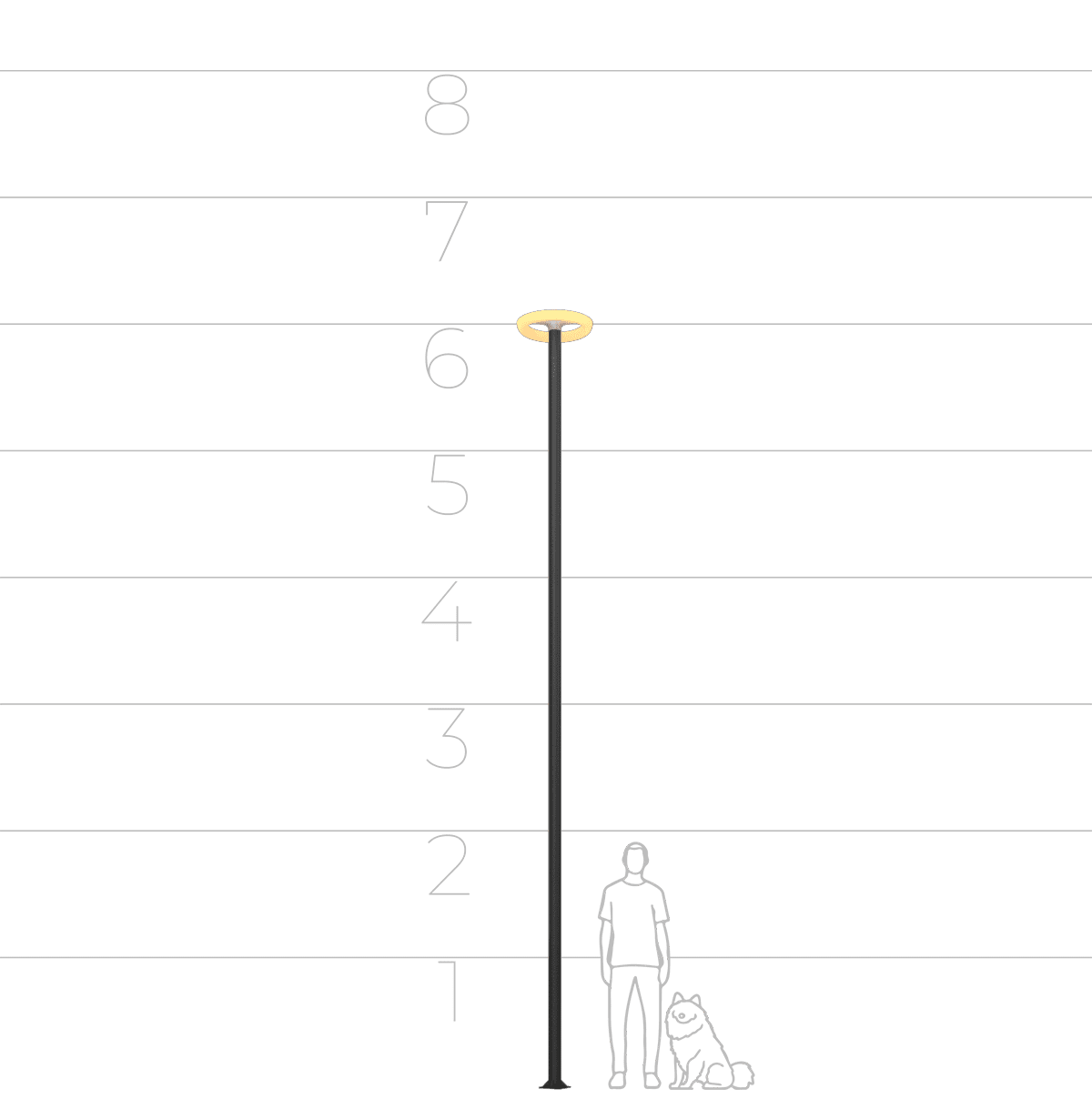 68203716 68203716